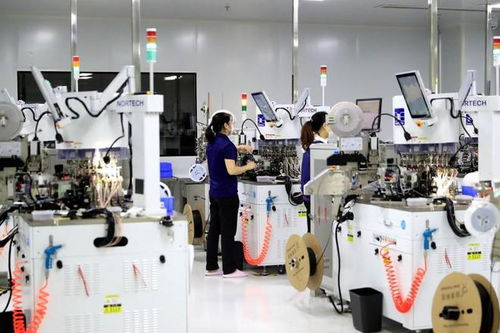 瀘州納溪 搶抓新質(zhì)生產(chǎn)力機(jī)遇 為高質(zhì)量發(fā)展蓄勢(shì)賦能